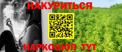 гидра Рязань