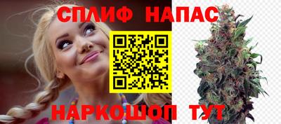 гидра Рязань