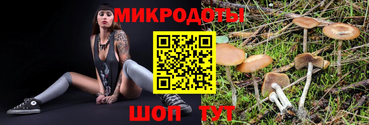 Галлюциногенные грибы прущие грибы Рославль