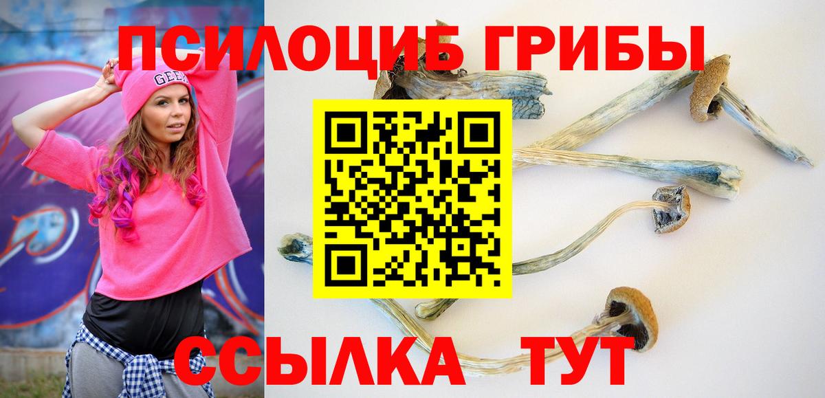 Рославль  Псилоцибиновые грибы GOLDEN TEACHER  Вход с VPN 